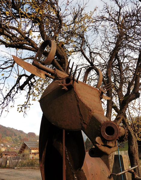 Art Vache : La vache allaitée