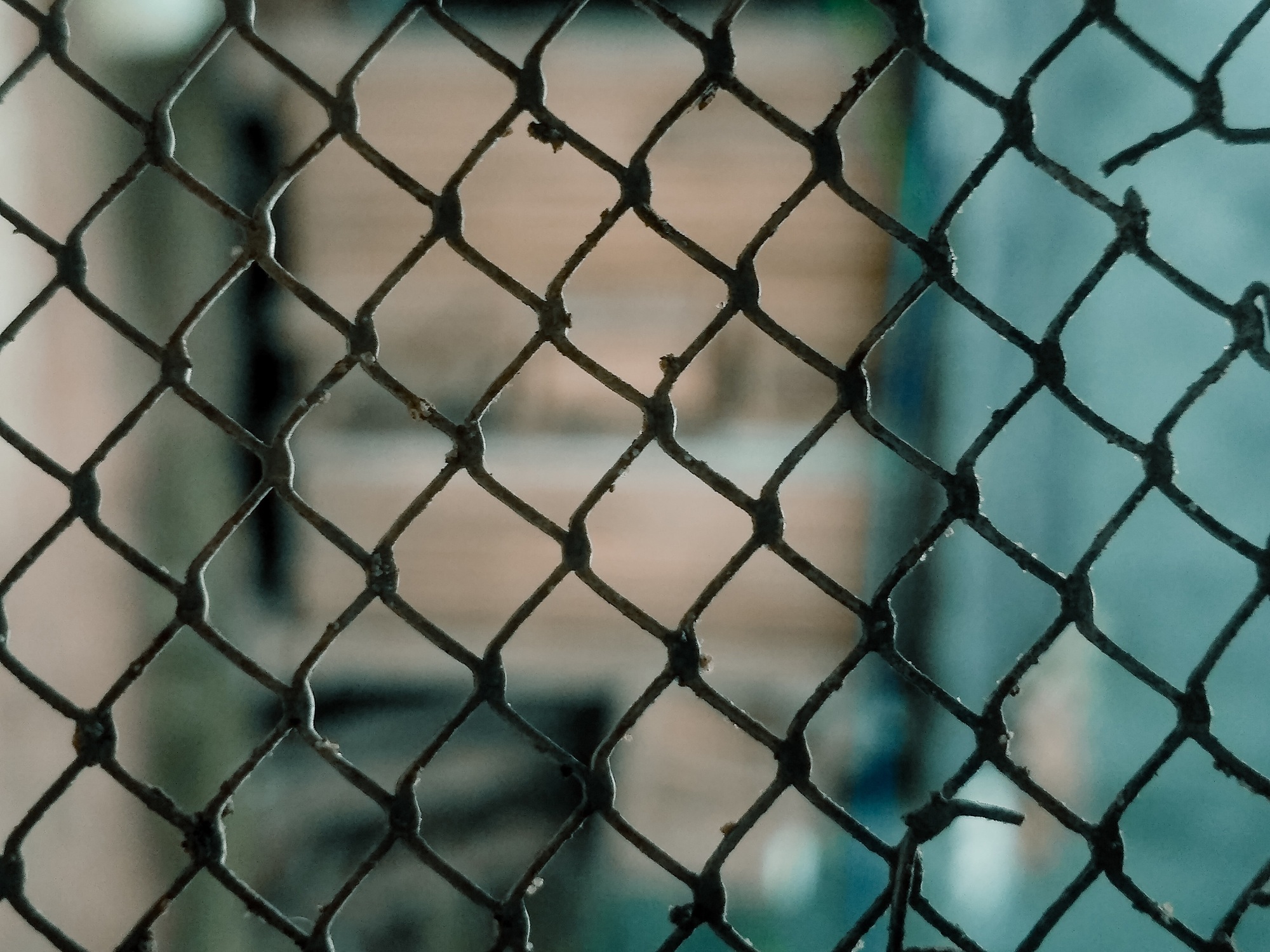 La métallique - Objets en fil de fer