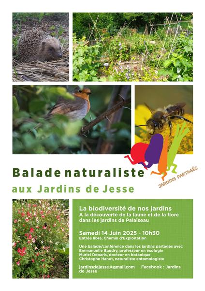 Balade naturaliste aux jardins partagés - Jardins de Jesse