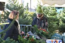 Marché aux sapins_Saint-Étienne