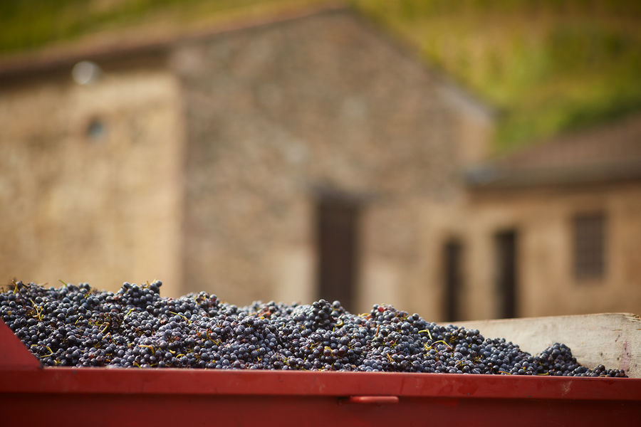 Maison Delas frères