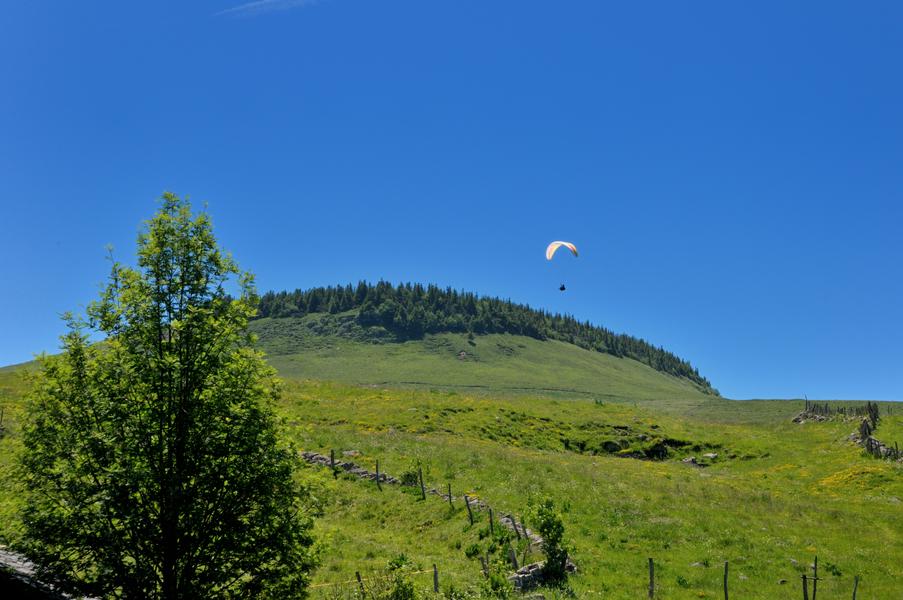 Domaine de Parrot Nature