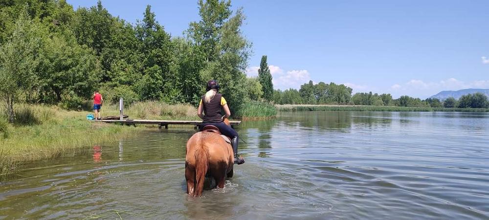 Balade journée à cheval au lac de Mison