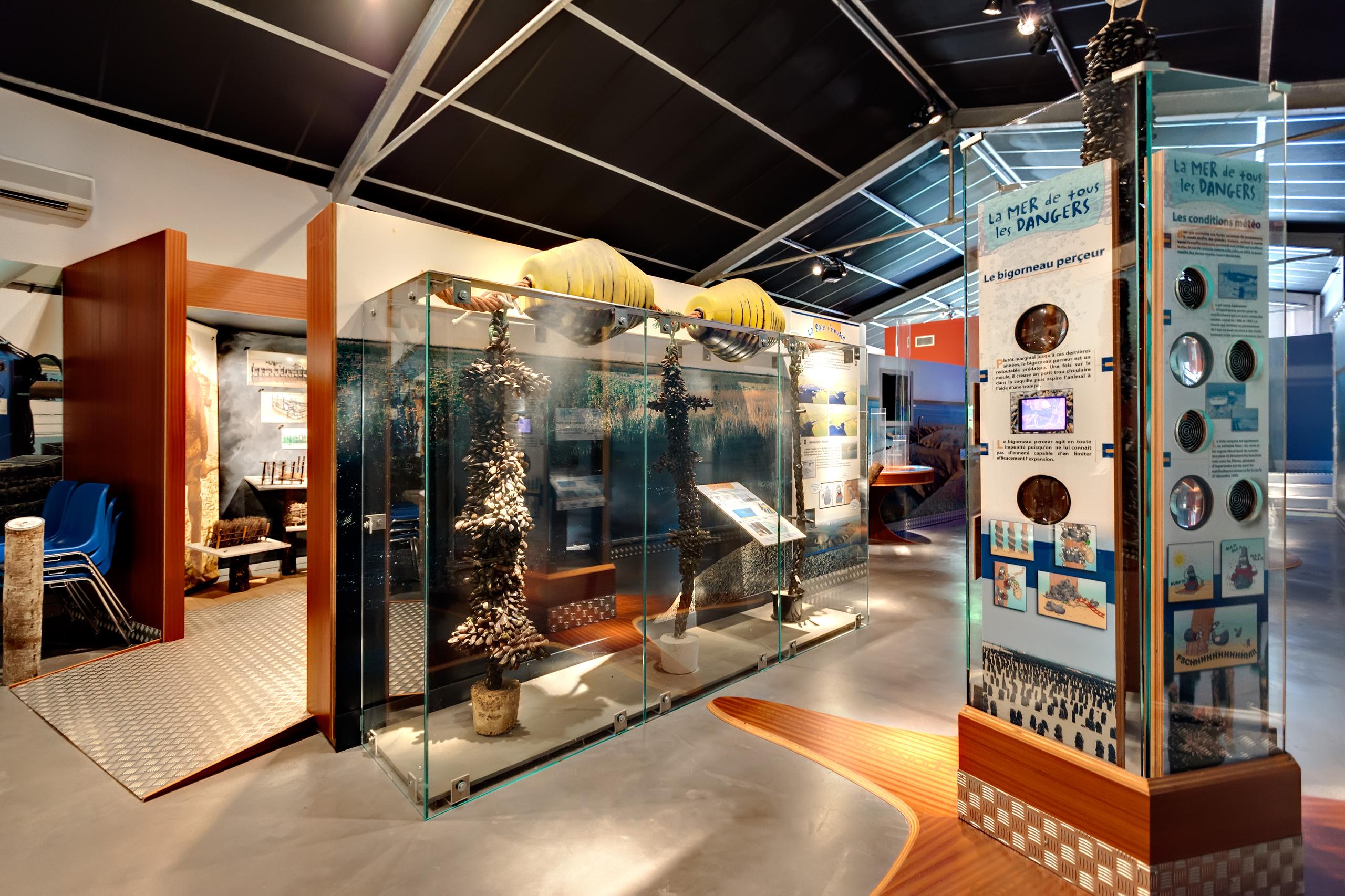 Musée de la mytiliculture