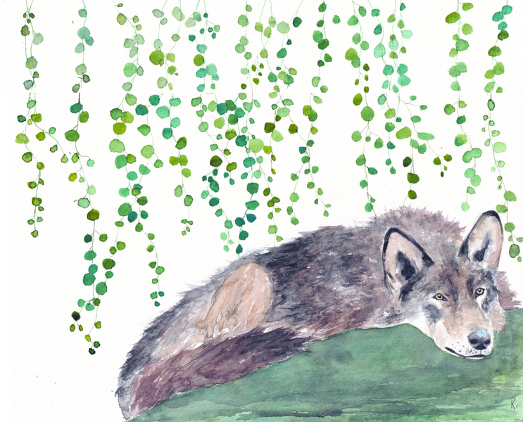 Les animaux d'ici - © Kristell Le Cunff Les animaux d'ici - © Kristell Le Cunff