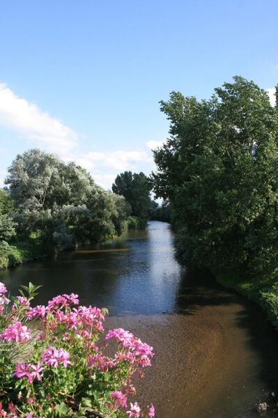 Parc des Berges Lozanne