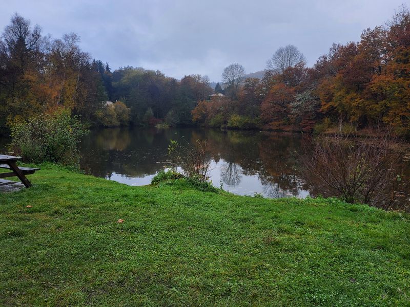 Site de pêche - Étang des Grelins