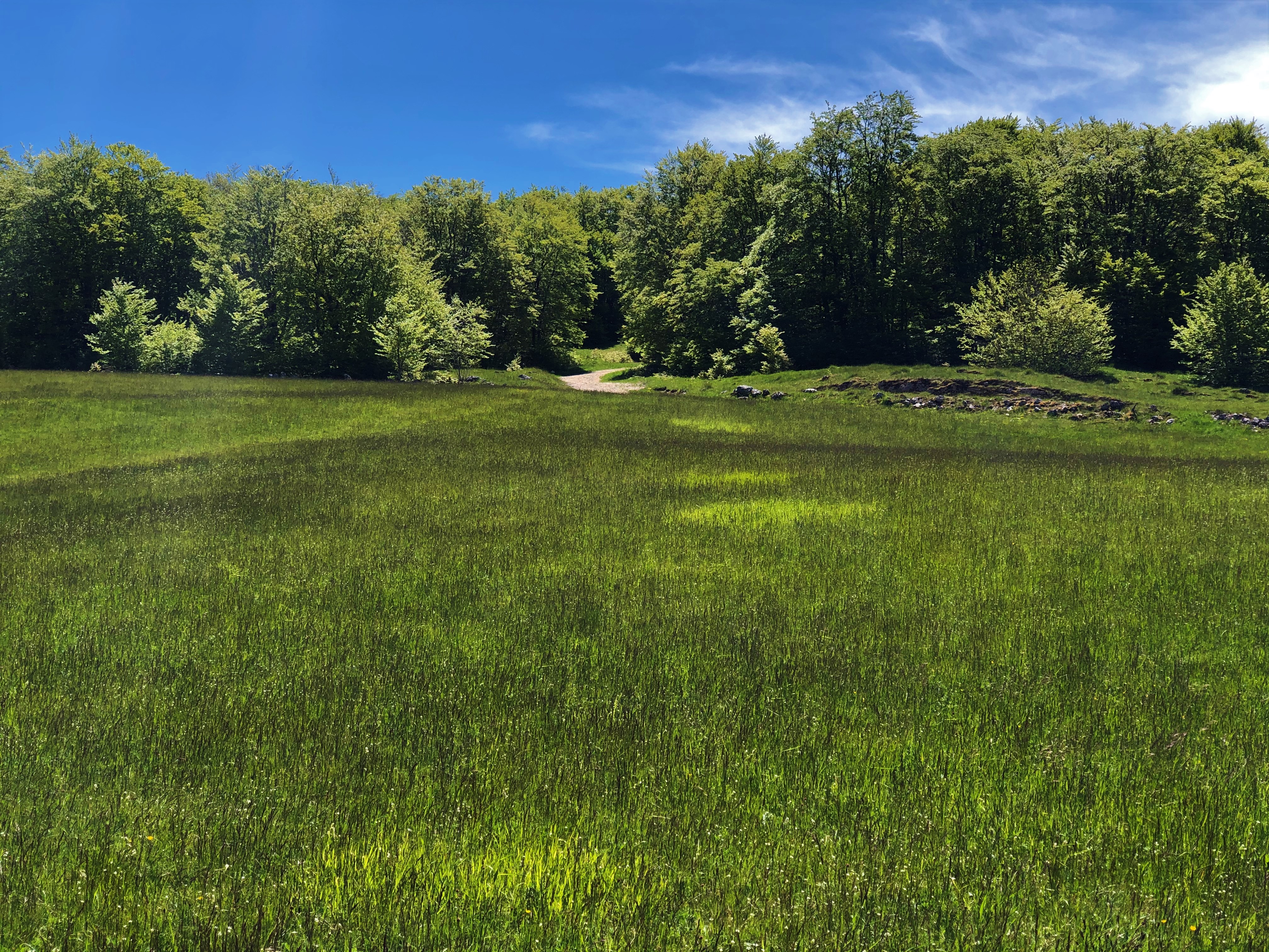 Parcours VTTAE 13 rouge - Le sud du Plateau de Retord - Espace FFC Ain Forestire