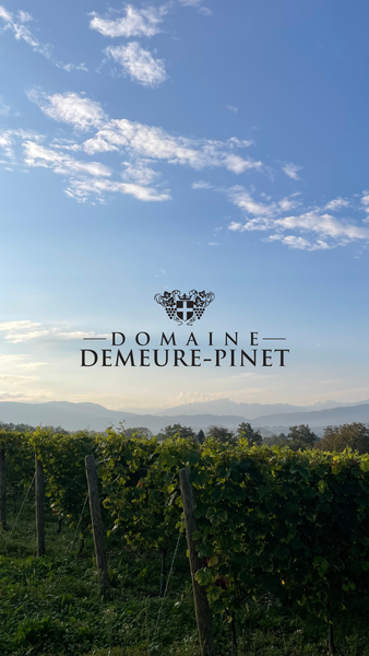 Cellier de Joudin - Domaine Demeure-Pinet_Saint-Genix-les-Villages