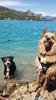 Passion Dog 04_Castellane