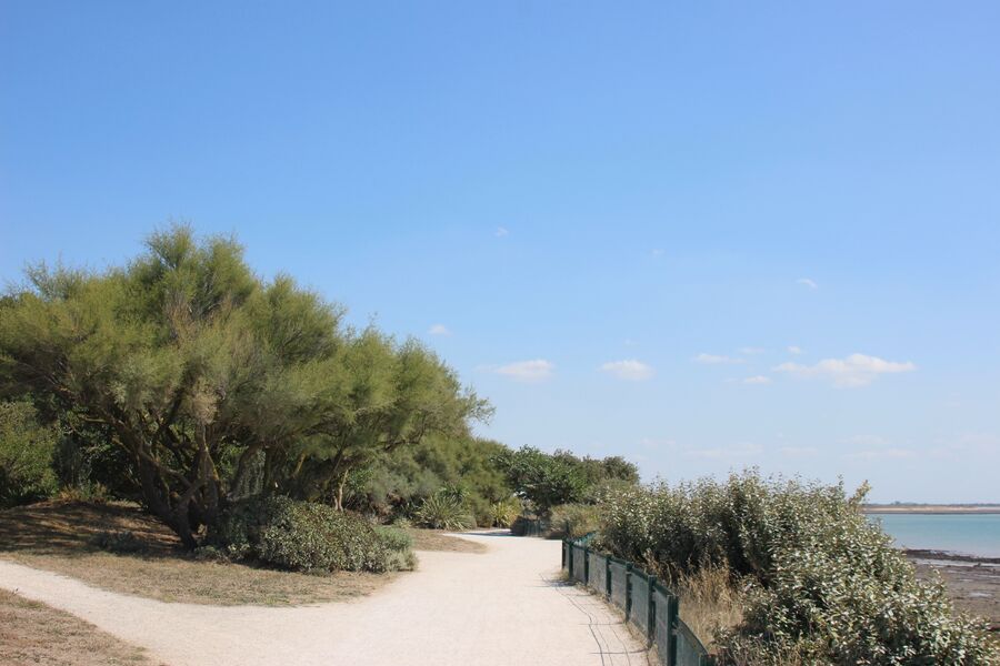 Sentier rejoignant la plage des Minimes à 1 km
