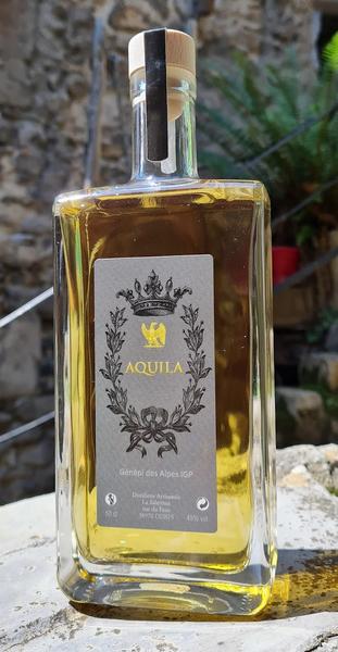 Aquila