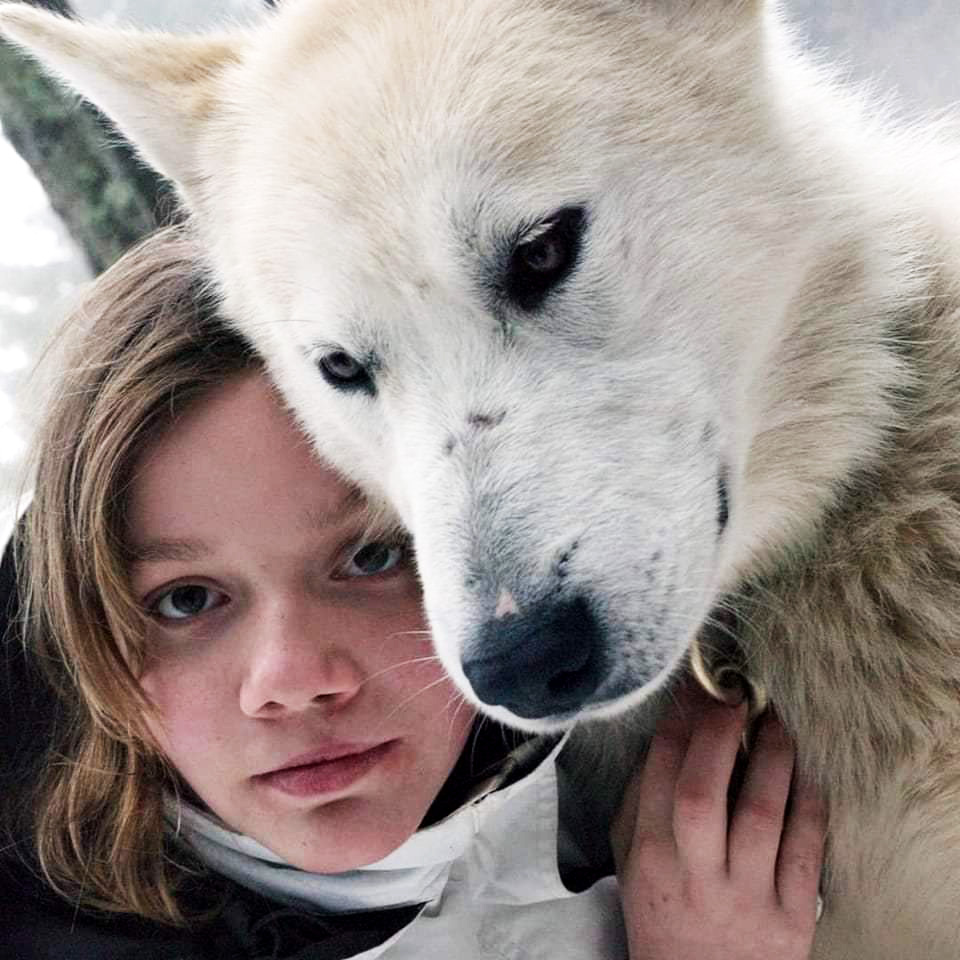 Le traineau à chiens une activité qui peut se pratiquer à tous les âges