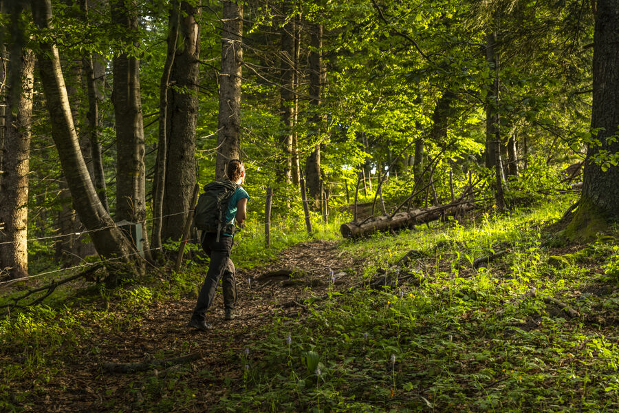 La boucle des Emeindras et le Habert de Chamechaude
