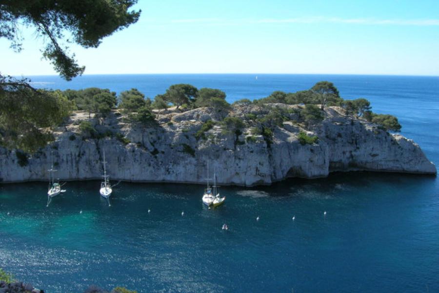 Bandol et Cassis avec Dégustations de Vin