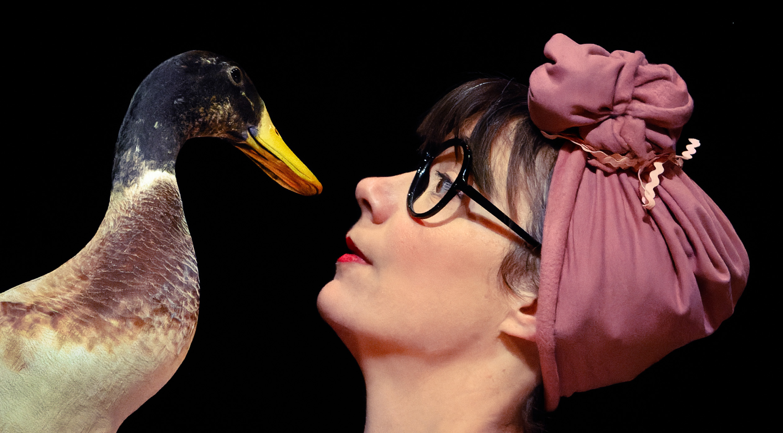 Cirque / Poil de la bête