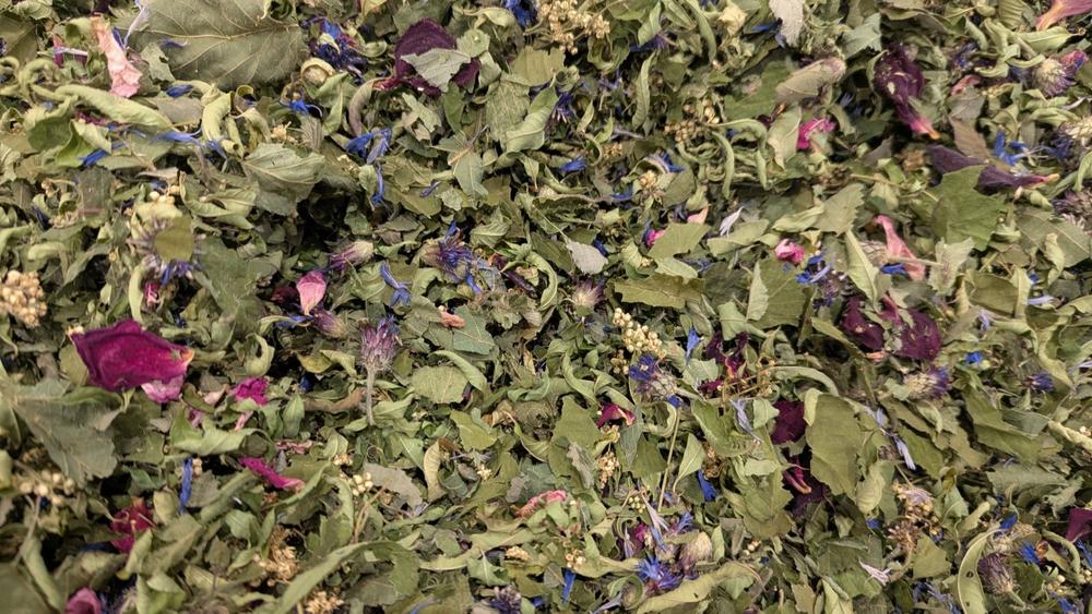 Les Mardis Plantes & Santé - Les Échappées Estivales