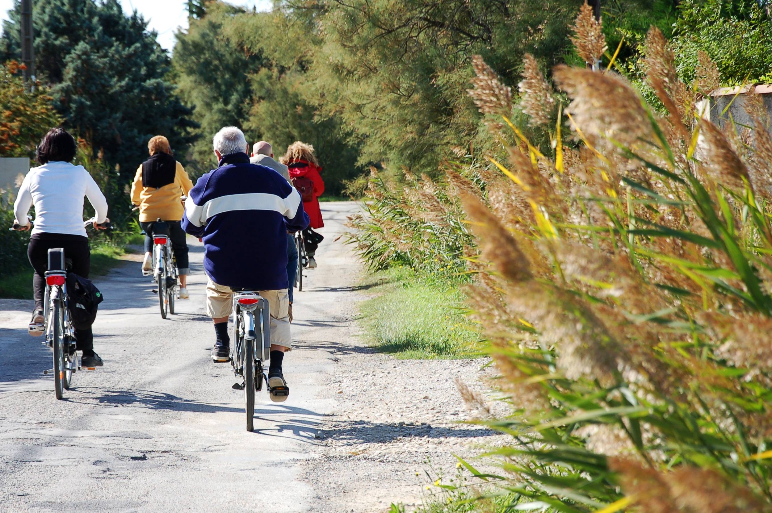 ARLES - Le chemin des taureaux à vélo — photo 2