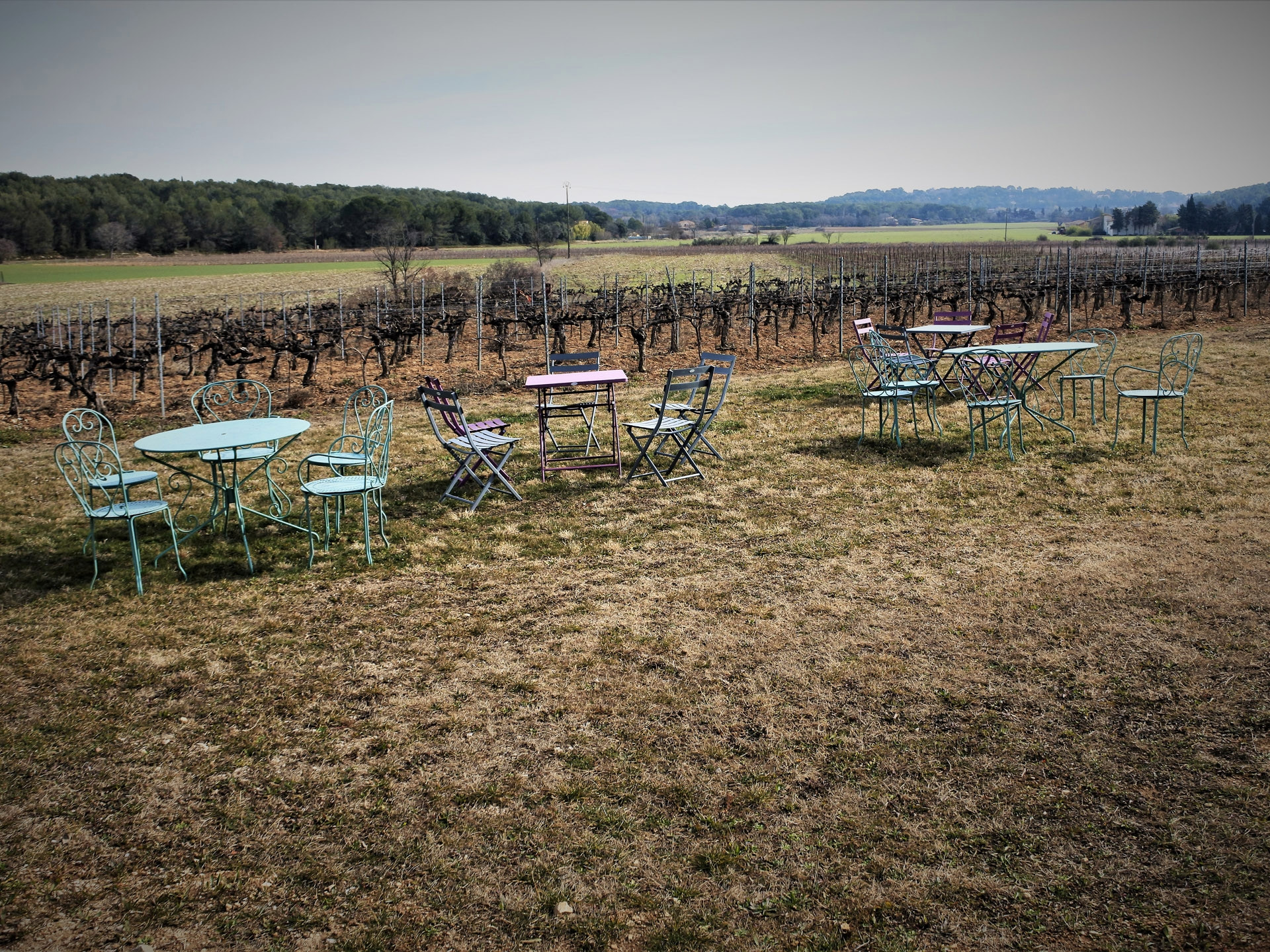 Le vignoble aixois, le vignoble des bastides - La plaine de la Touloubre