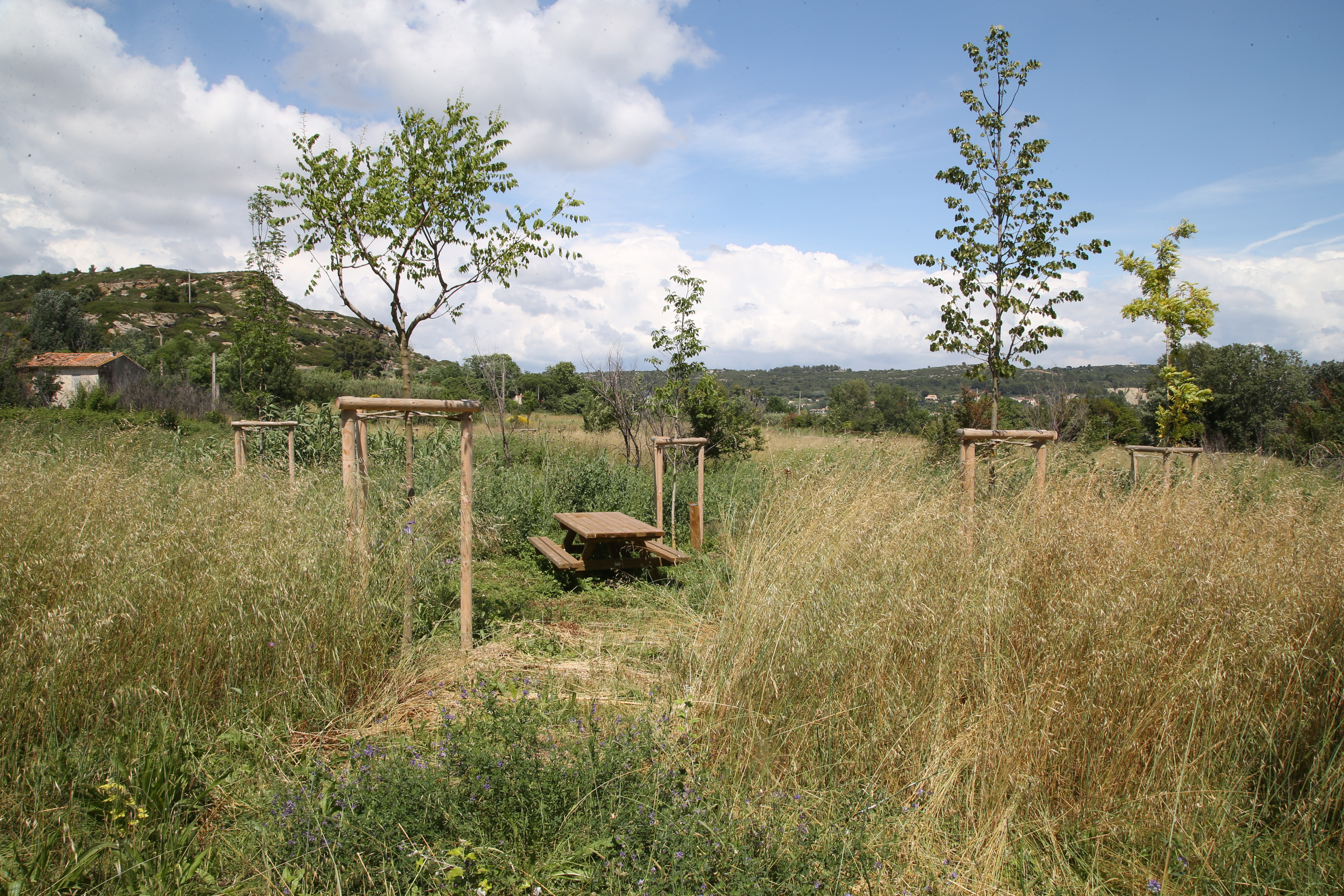 Le Parc de l'Olivier (Miouvin)