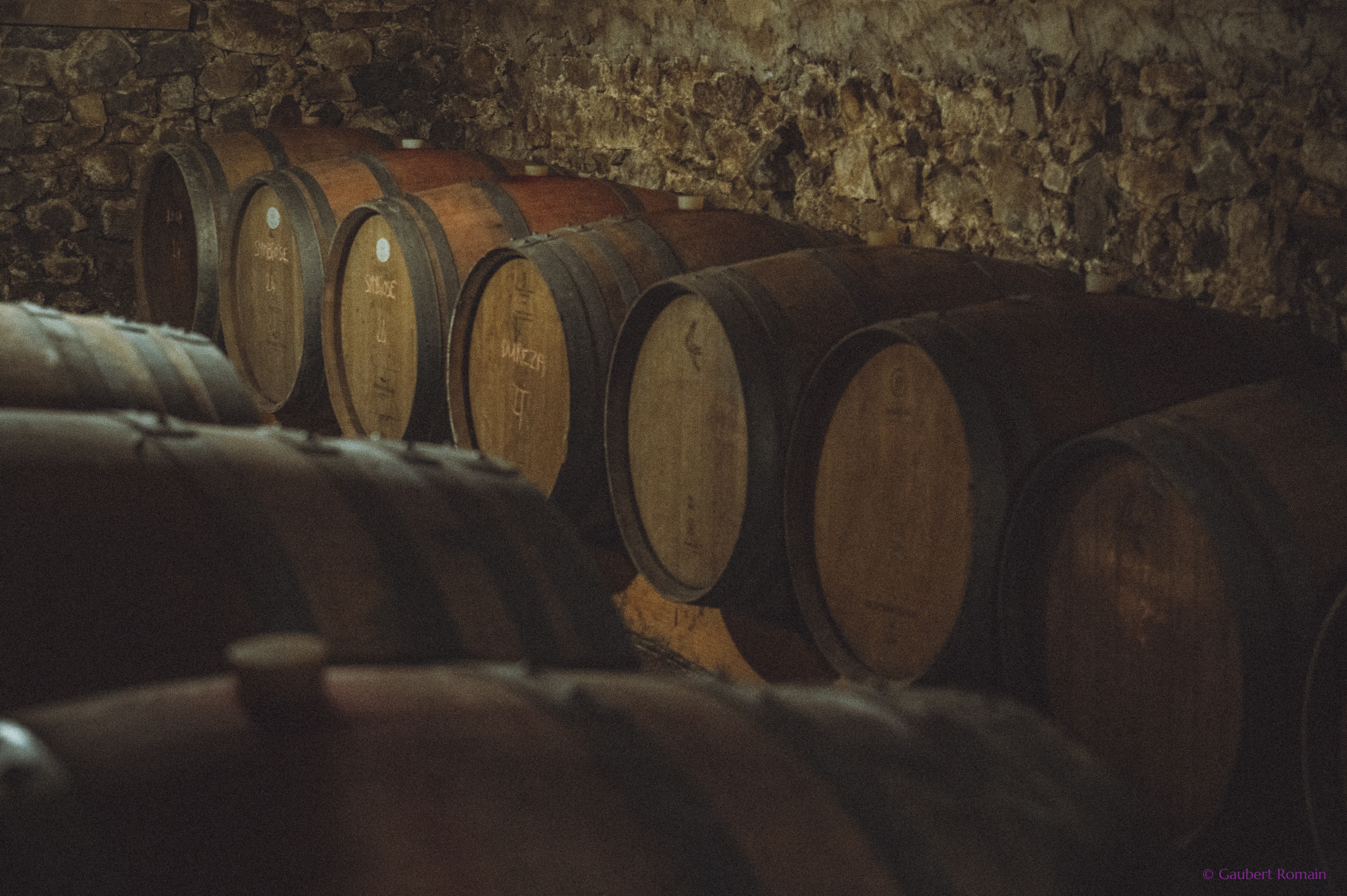 Domaine des Bardes_Eclassan