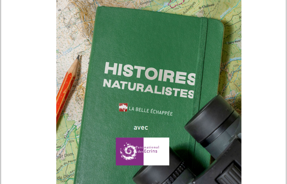- © Histoires naturalistes Affiche Marco - © Histoires naturalistes