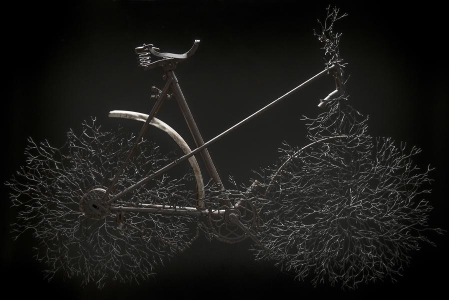 Vélo enchevêtré