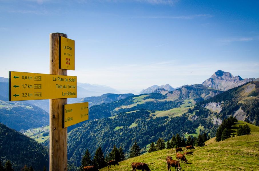 Le Mont Charvin en été depuis la Char