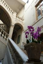 grand_escalier_-2.jpg