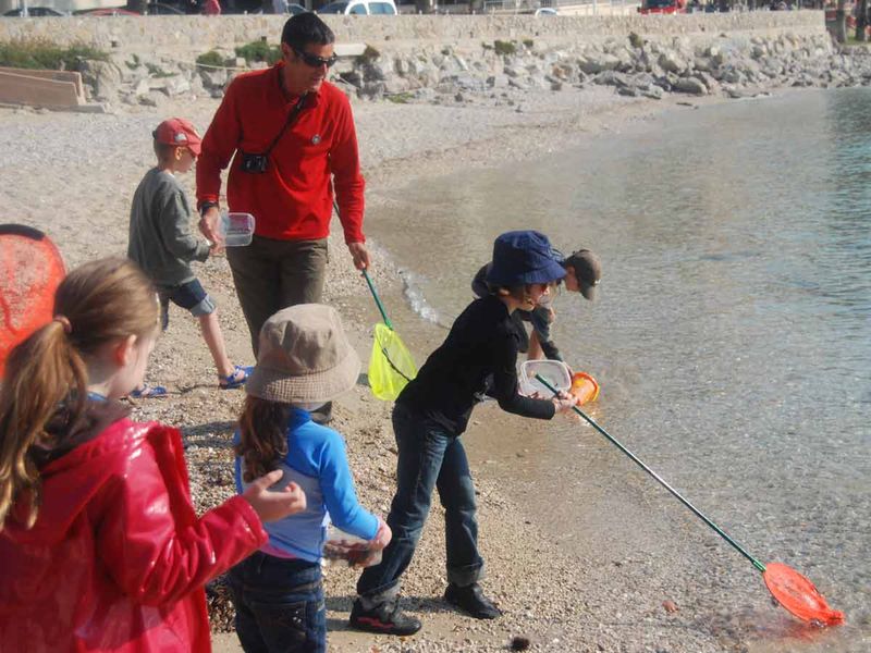 Les petits explorateurs du littoral