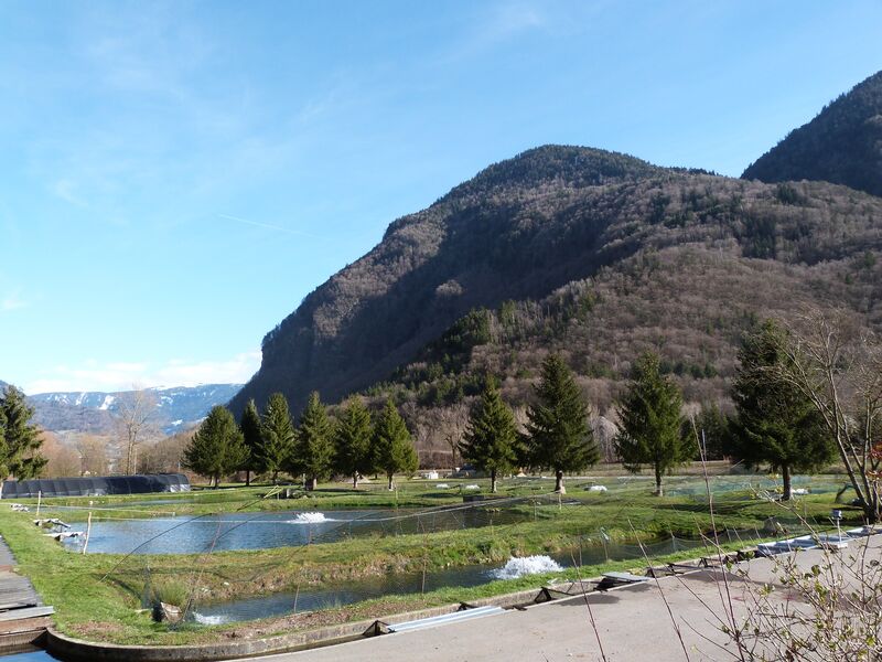 Pisciculture Morel Val de Chaise