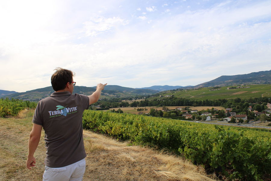 Domaine de la Voute des Crozes