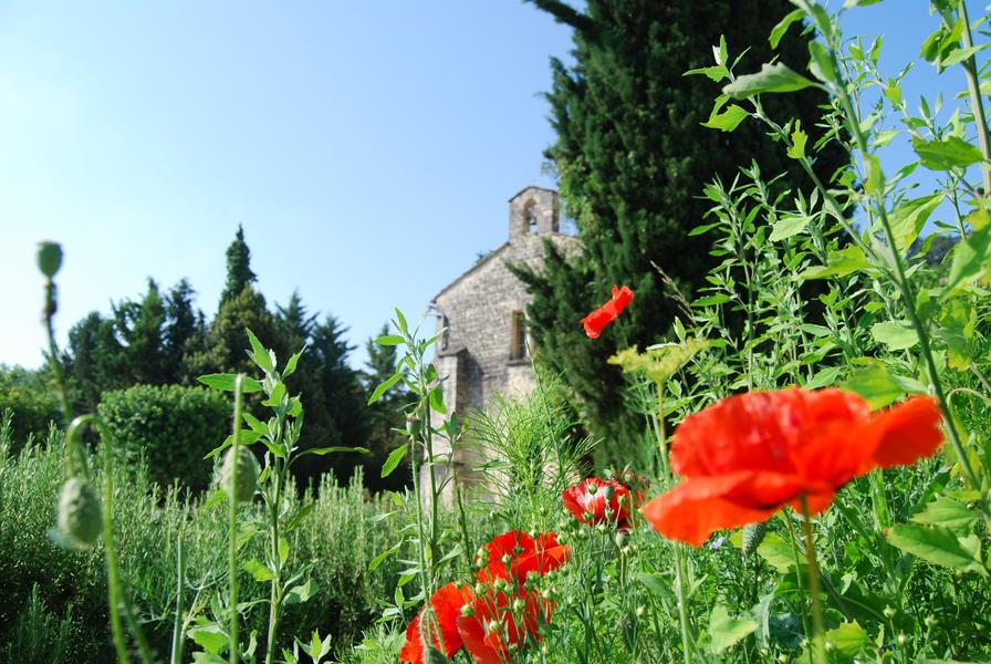 Jardin du couvent des Cordeliers