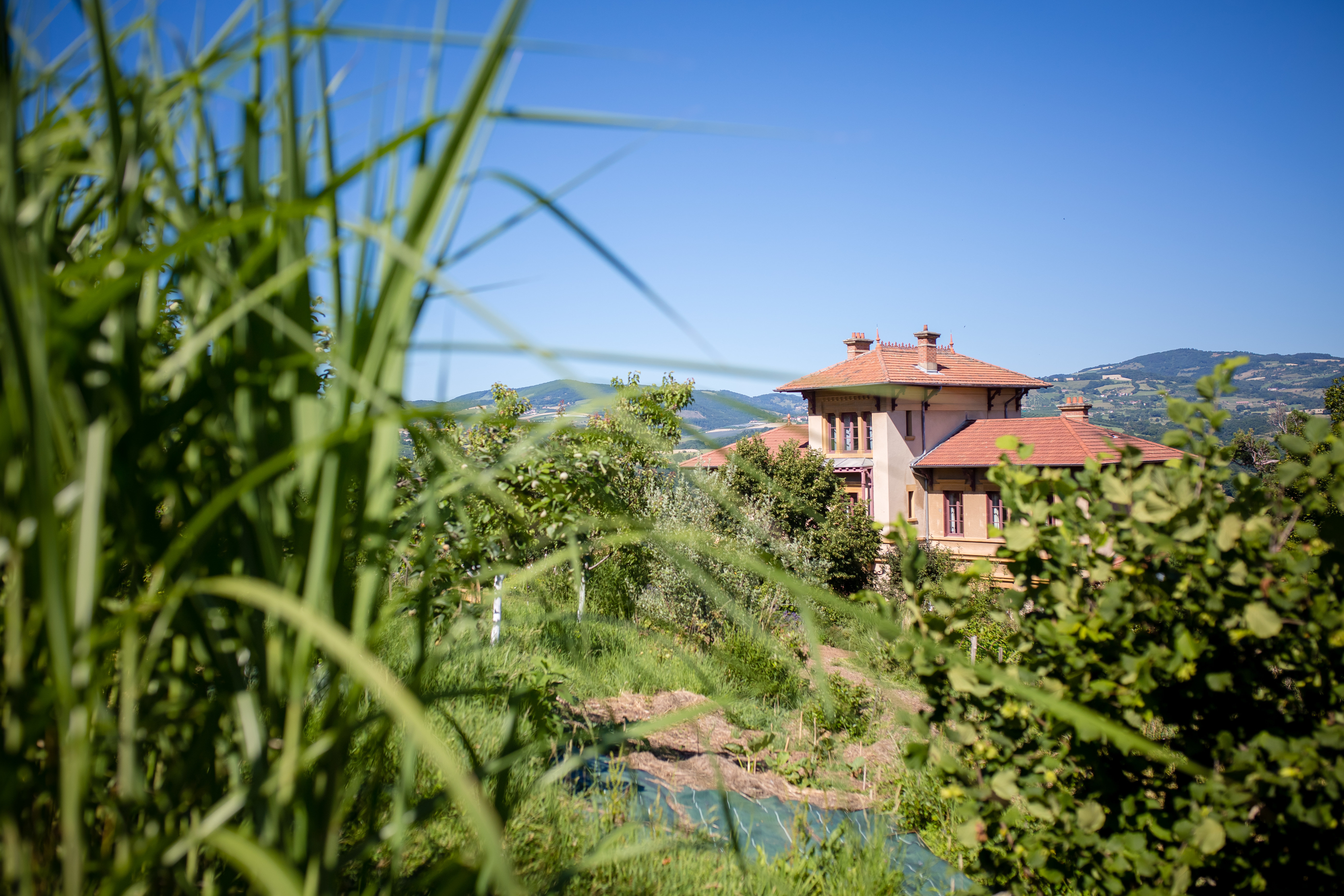 Visite des jardins nourriciers de la Source Dorée