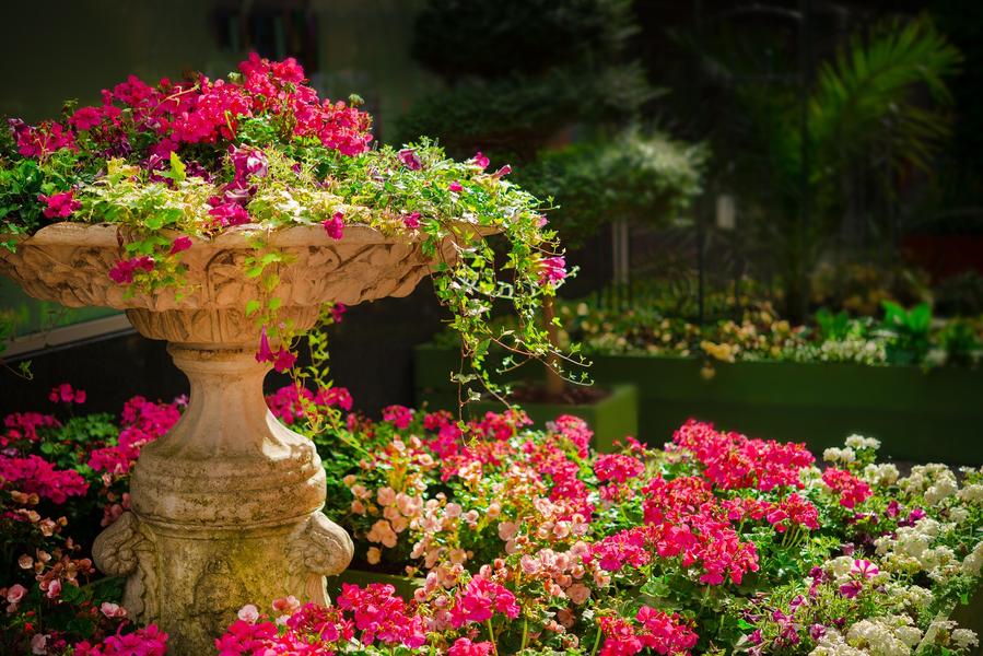 http://Exposition%20Rendez-vous%20au%20jardin