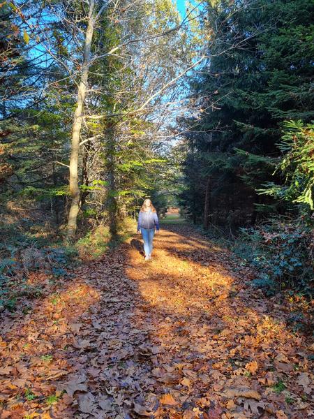 Le sentier d'Emilie