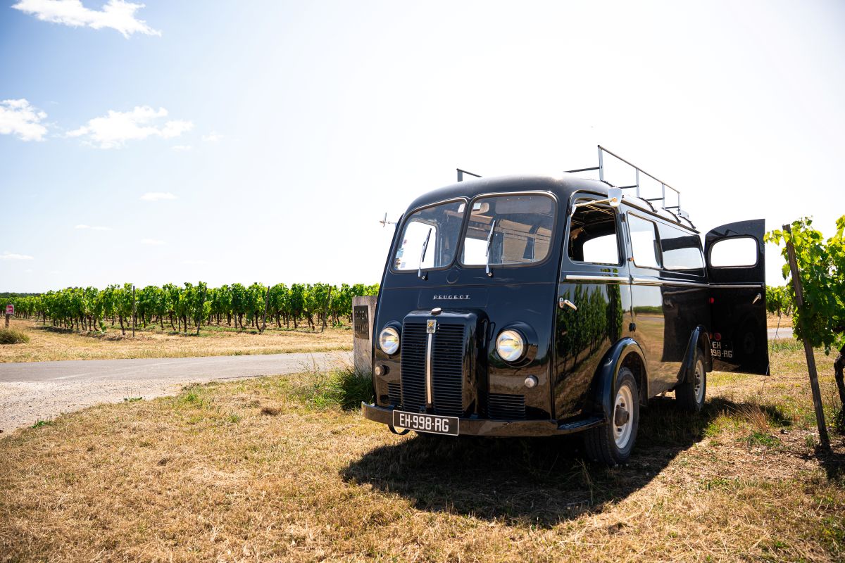 Bourgoin Cognac - Expert : Safari dans le vignoble.