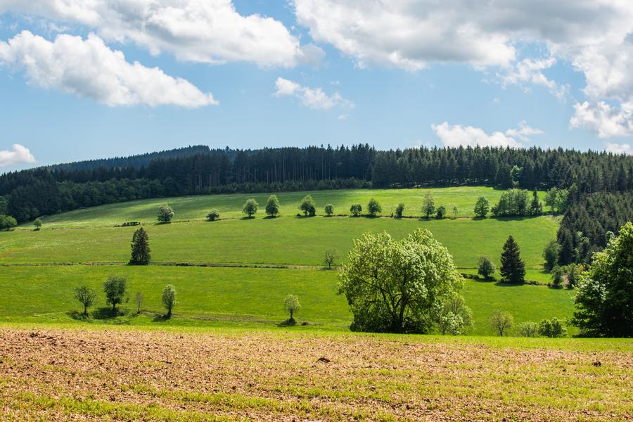 La Roche d\'Ajoux_Poule-les-Écharmeaux