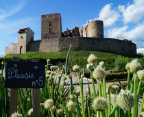Jardin médiéval de Marguerite