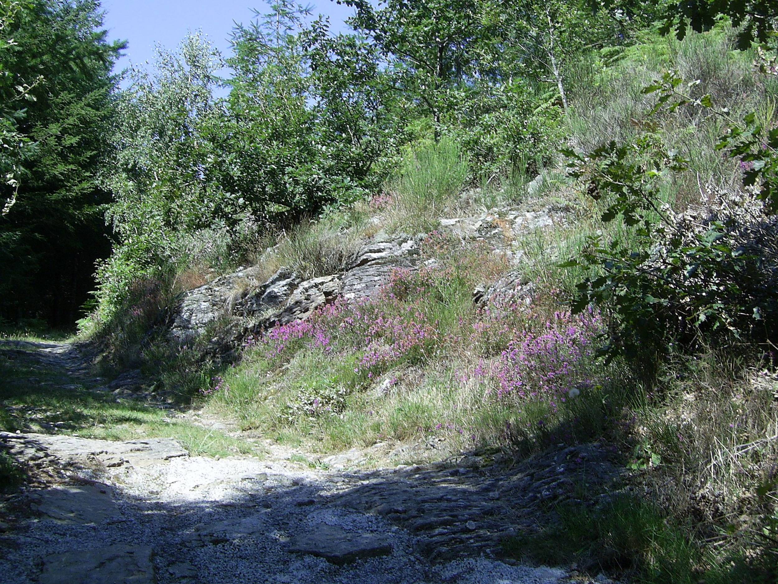 bruyeres
