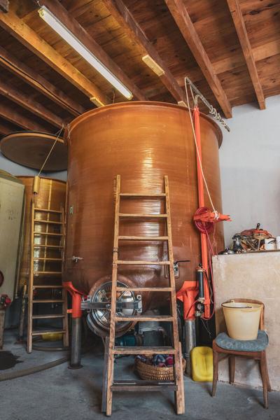 Domaine Bernard et Christophe Richel_Saint-Baldoph