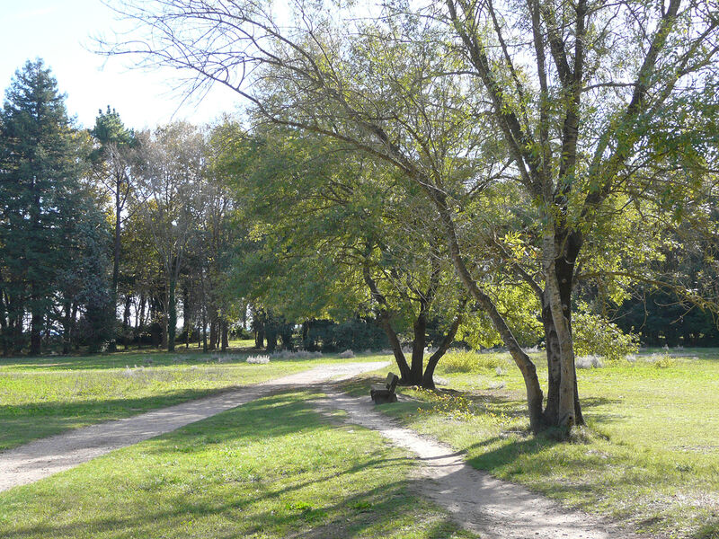 Circuit forestier du Parc de Vaugrenier
