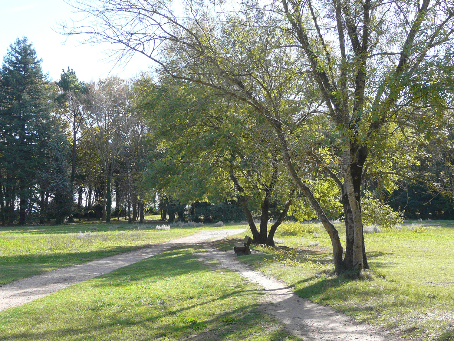 Chemin prairie