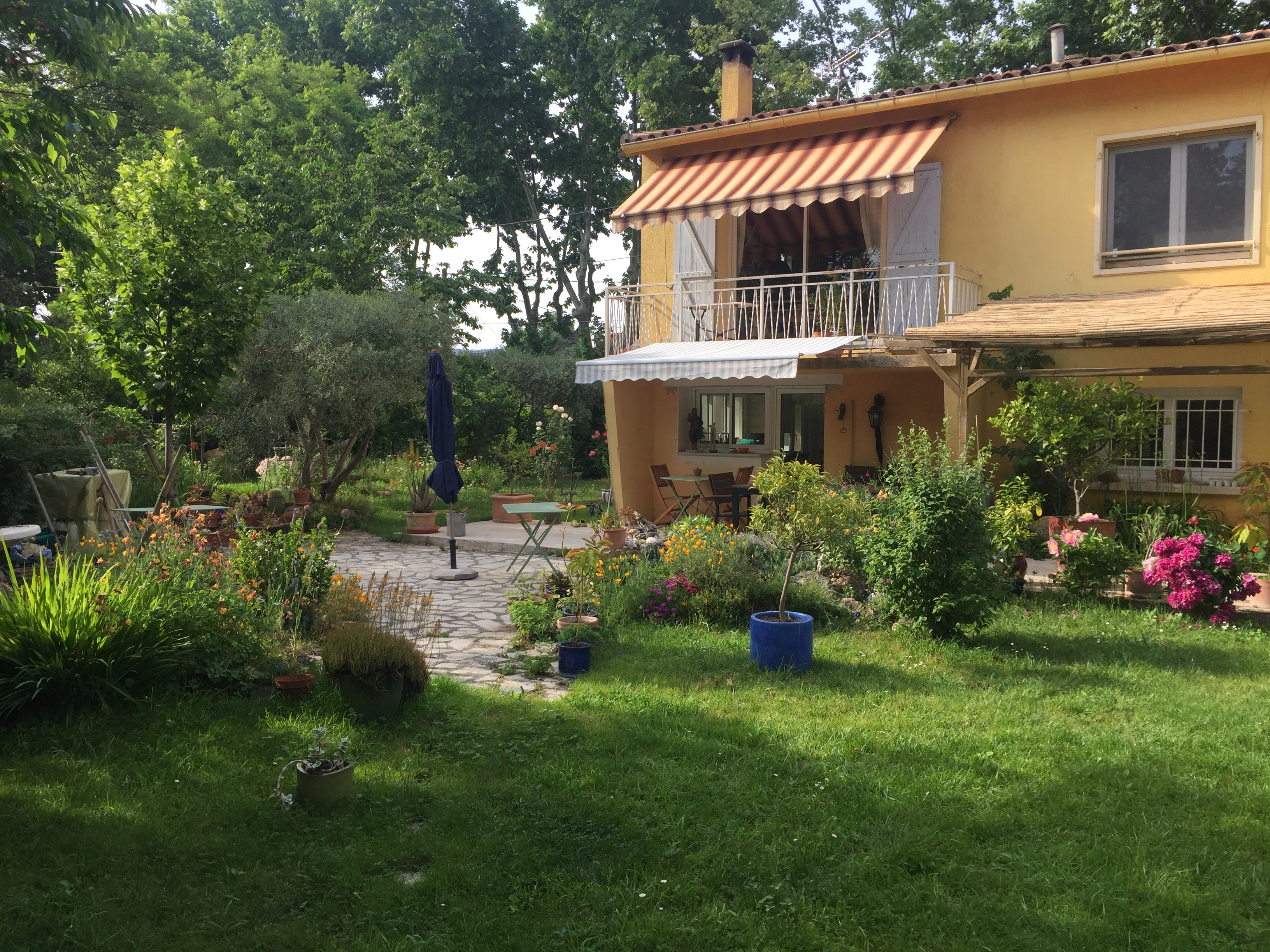 Ilot de verdure en bord de rivière, Pélissanne - photo 6