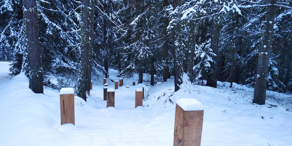Les petits pas du chemin du petit bonheur en hiver