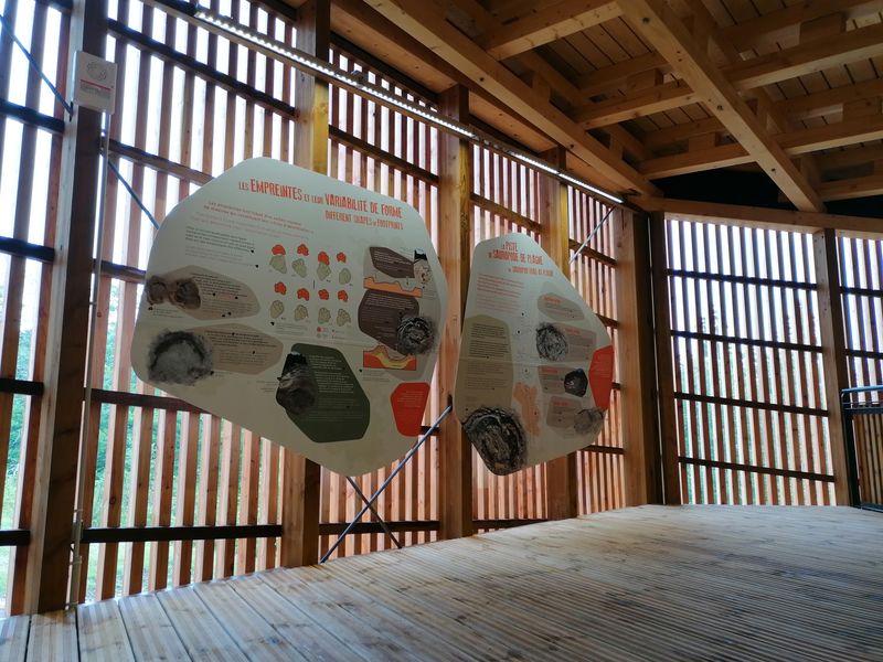 Dinoplagne® : panneaux d'interprétation