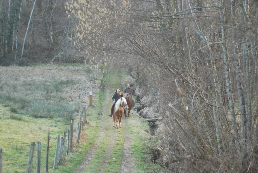 Tour du Lac d'Aiguebelette à cheval_Entre-deux-Guiers