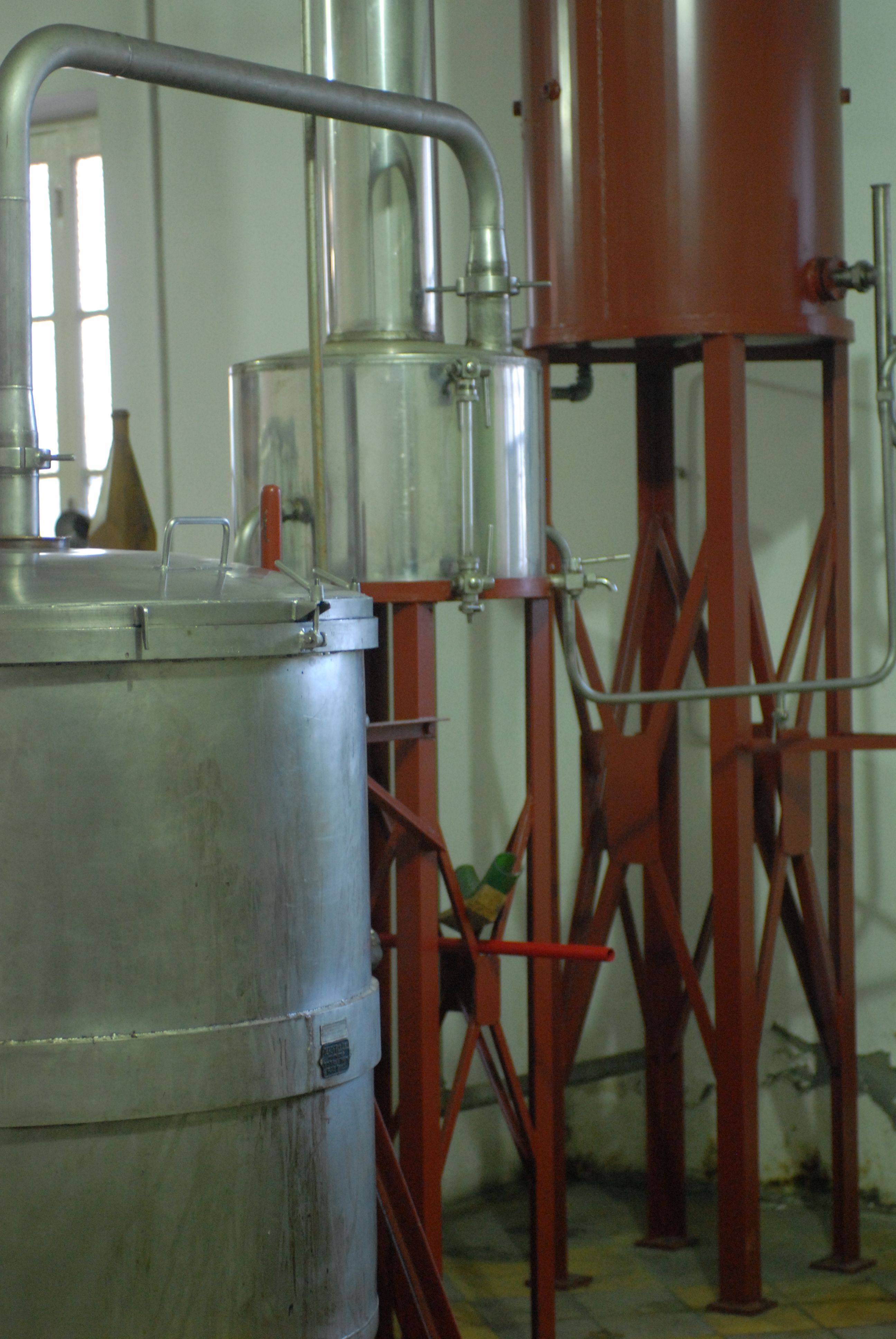 Distillerie Frigolet liqueur