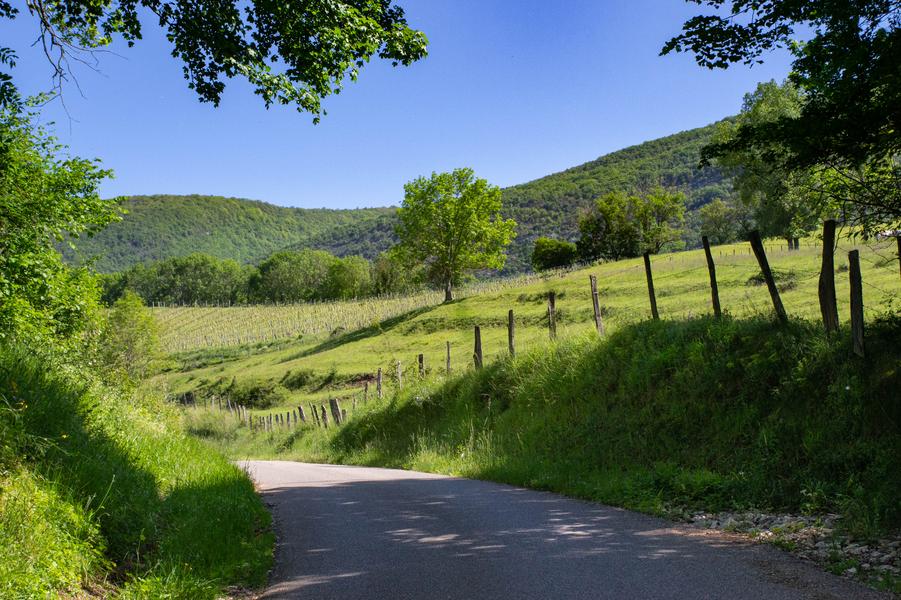 Circuit de Saint-Alban_Lhuis