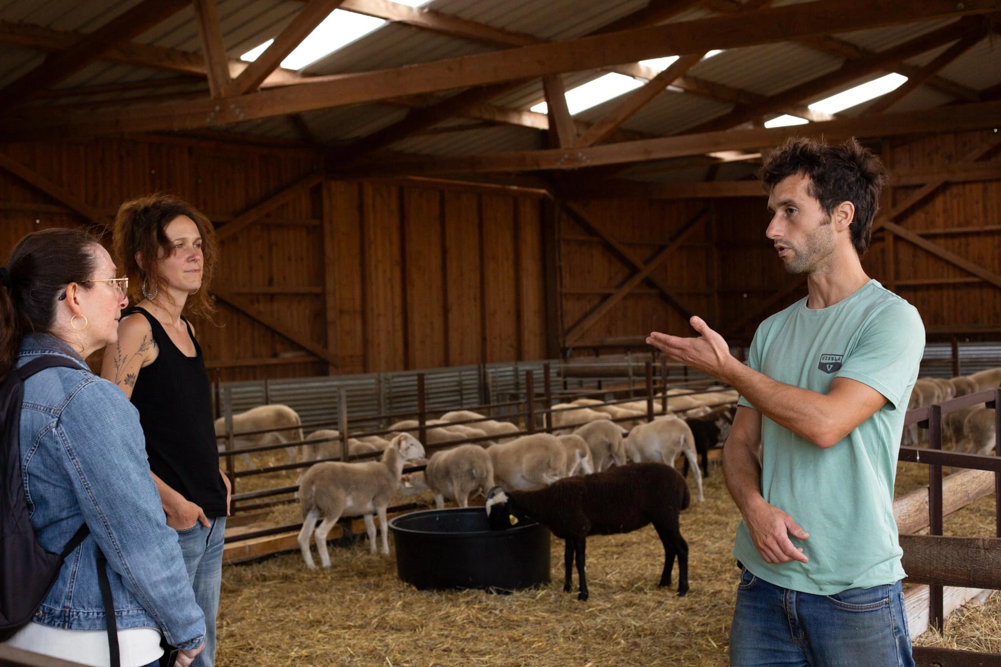Visite de ferme et de la coopérative lainière Laines Paysannes_Saverdun
